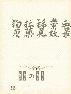 狗拉稀带血吃什么药见效最快