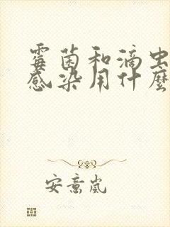 霉菌和滴虫混合感染用什么药效果好