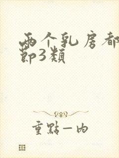 两个乳房都有结节3类