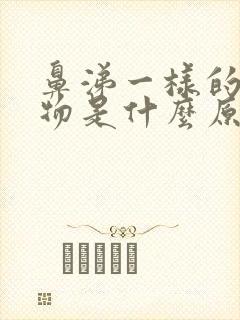 鼻涕一样的分泌物是什么原因