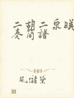 二胡二泉映月独奏简谱