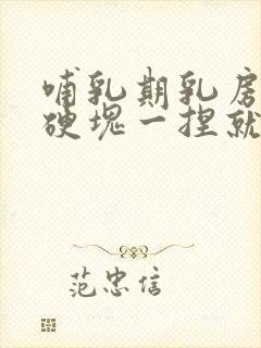 哺乳期乳房里有硬块一捏就痛怎么办