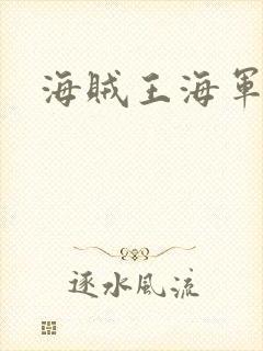 海贼王海军上将