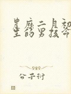 农历二月初五出生的男孩命运