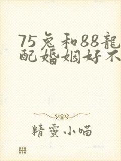 75兔和88龙配婚姻好不好