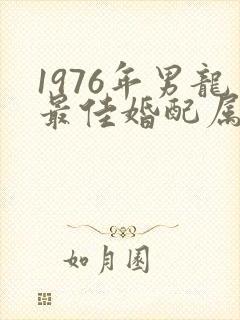 1976年男龙最佳婚配属相