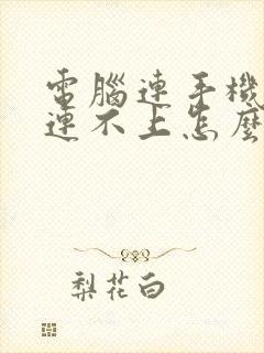 电脑连手机热点连不上怎么办