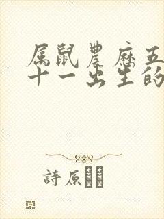 属鼠农历五月二十一出生的人命运