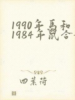 1990年马和1984年鼠合婚吗