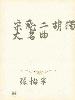 宋飞二胡独奏十大名曲