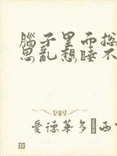 脑子里面总是胡思乱想睡不着封面