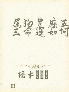 属狗农历五月十三命运如何