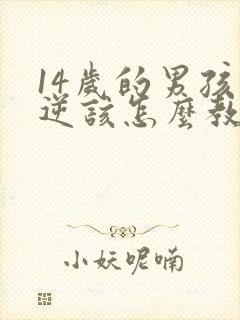 14岁的男孩叛逆该怎么教