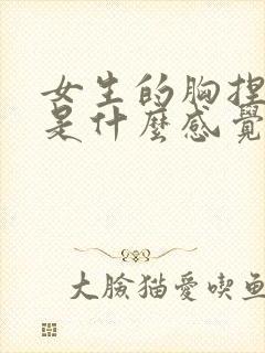 女生的胸捏起来是什么感觉