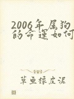 2006年属狗的命运如何封面