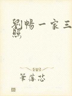 刘畅一家三口近照