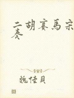 二胡赛马宋飞独奏