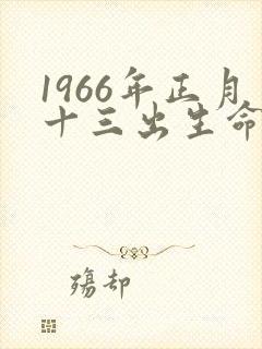 1966年正月十三出生命运如何