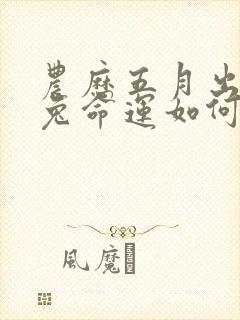 农历五月出生的兔命运如何