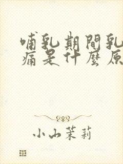 哺乳期间乳房刺痛是什么原因