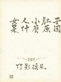 女人小肚子胀气是什么原因引起的