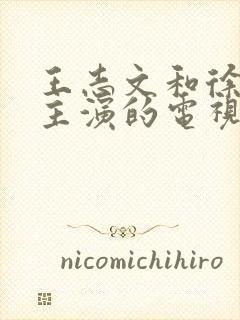 王志文和徐静蕾主演的电视剧