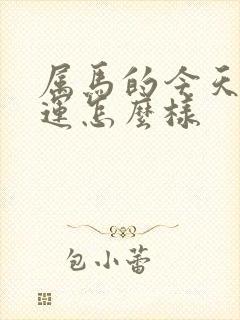 属马的今天偏财运怎么样