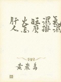 肝火旺湿气重的人怎么排湿封面