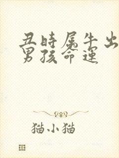 丑时属牛出生的男孩命运