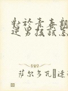 对于青春期的叛逆男孩该怎样管教