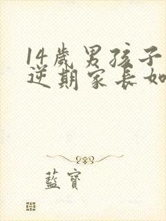 14岁男孩子叛逆期家长如何管教