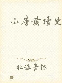 小唐黄倩史封面