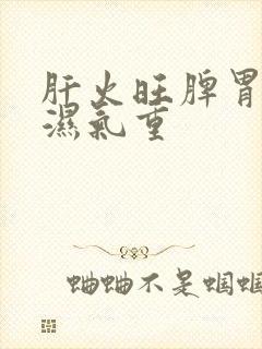 肝火旺脾胃虚寒湿气重