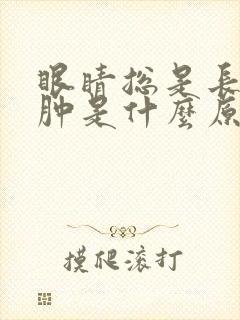 眼睛总是长麦粒肿是什么原因