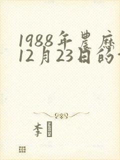 1988年农历12月23日的命运
