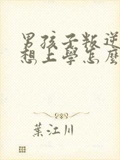 男孩子叛逆期不想上学怎么办封面