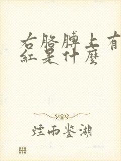 右胳膊上有一片红是什么