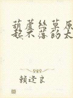 葫芦丝草原上升起不落的太阳降b调伴奏