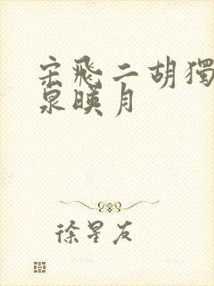 宋飞二胡独奏二泉映月封面