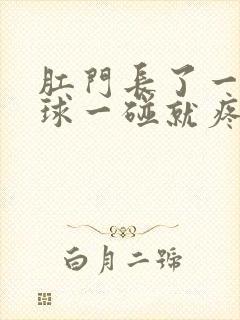 肛门长了一个肉球一碰就疼