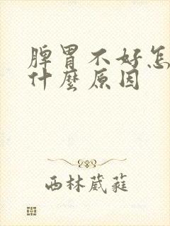 脾胃不好怎么是什么原因