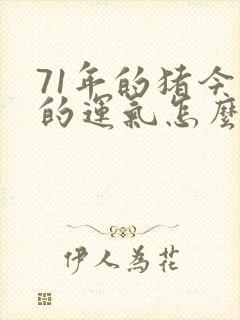 71年的猪今天的运气怎么样