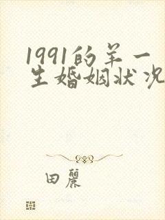 1991的羊一生婚姻状况