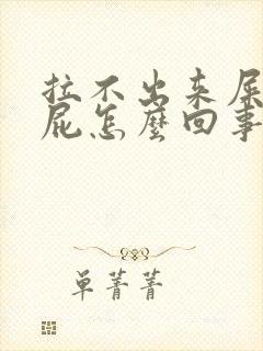 拉不出来屎老放屁怎么回事