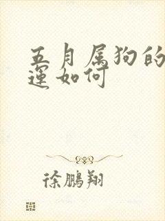 五月属狗的人命运如何封面