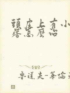 头皮上有小红疙瘩怎么治