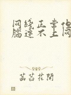 网线正常但是电脑连不上网封面