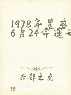 1978年农历6月24命运好吗