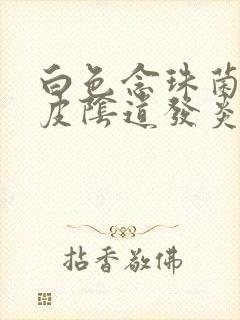 白色念珠菌性表皮阴道发炎