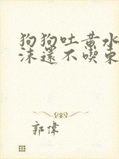 狗狗吐黄水带泡沫还不吃东西怎么办封面